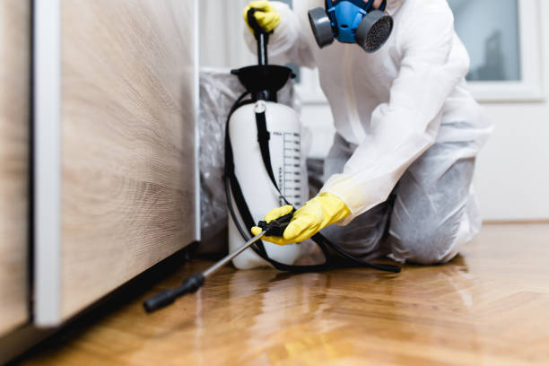 Best Mosquito Control Services  in Otterbe, IN