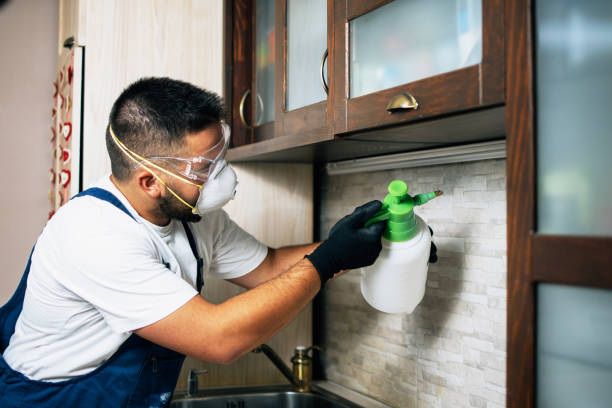 Best Flea Control Services  in Otterbe, IN