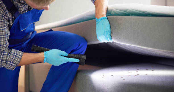 Flea Control Services in Otterbein, IN