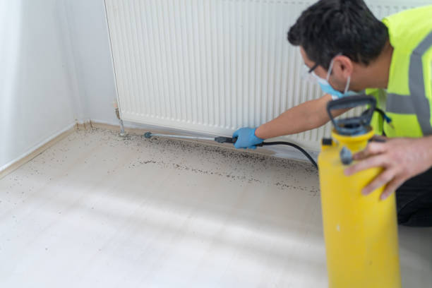 Best Best Pest Control Companies  in Otterbe, IN